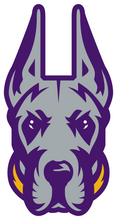 Load image into Gallery viewer, U ALBANY CHEER JACKET w/logo