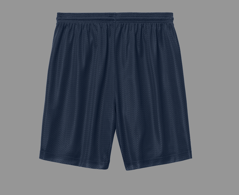 Halfmoon Mesh Shorts