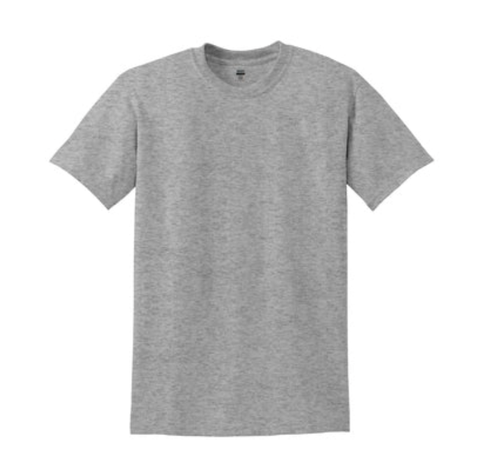 HOLLISTER GREY S/S T-SHIRT MIDDLE SCHOOL ONLY- PC54 w/ wolf logo