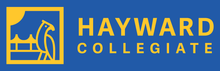 Load image into Gallery viewer, HAYWARD NAVY PE CREWNECK SWEATSHIRT with logo