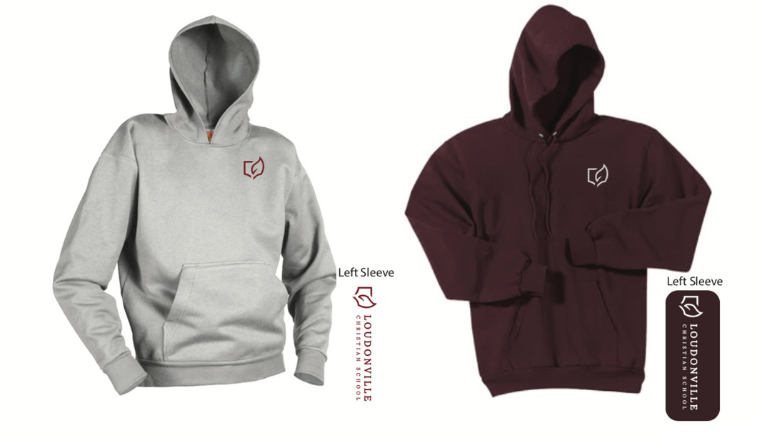 LCS (LOWER SCHOOL) PULLOVER HOODED SWEATSHIRT with sleeve logo