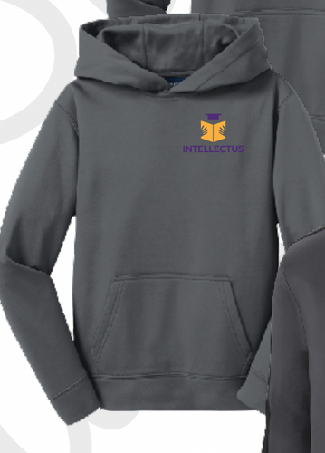 Intellectus Prep Dri Fit Hoodie F244 DK SMOKE GREY (FINAL SALE)