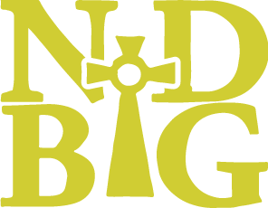 NDBG  WINE V-NECK SWEATER VEST