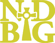 Load image into Gallery viewer, NDBG DRI-FIT 1/4 ZIP NAVY OR WINE